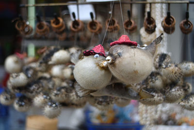 Close-up of stuffed toy hanging