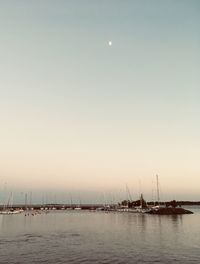 Sailboats in sea against clear sky