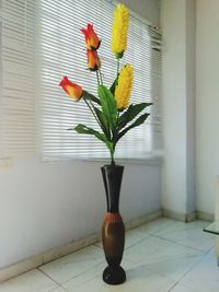 Close-up of potted plant on window sill