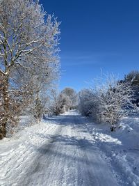 Beautiful winter street, winter wonder land