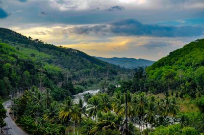 Scenic view of trees and mountains against sky