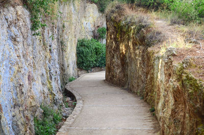 Footpath passing through a forest