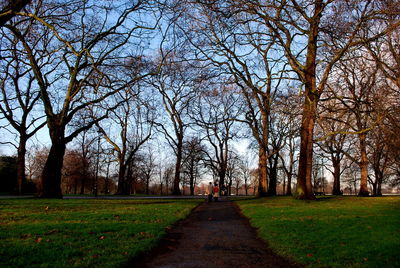 Pathway along trees on grassy field