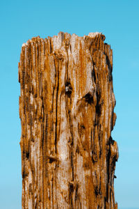 Weathered wood against clear blue sky