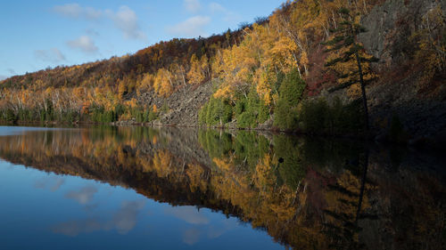 Reflection of trees in lake against sky