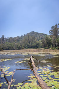 Scenic view of lake against clear sky