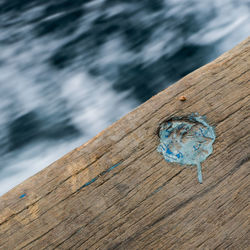 Close-up of bird on wooden floor