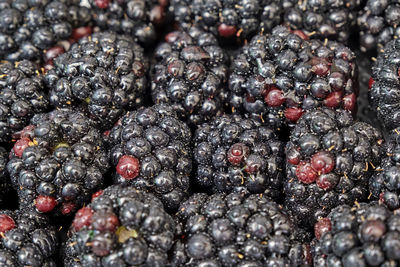 Full frame shot of berries