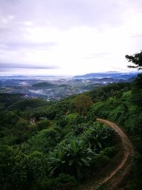 Scenic view of landscape