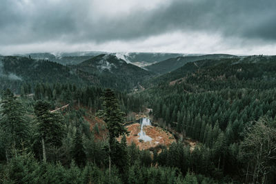 Scenic view of pine trees and mountains against sky