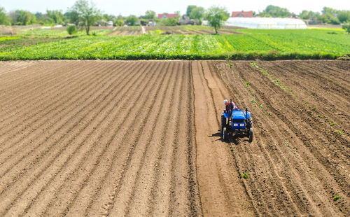 Farmer on a tractor drives on a farm field. agriculture and agribusiness. growing vegetables