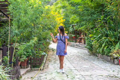 Rear view of woman walking on footpath amidst plants