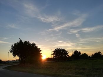 Silhouette trees on field against sky during sunset