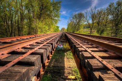 Railroad tracks amidst trees against sky