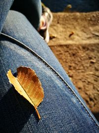 Low section of man with autumn leaves