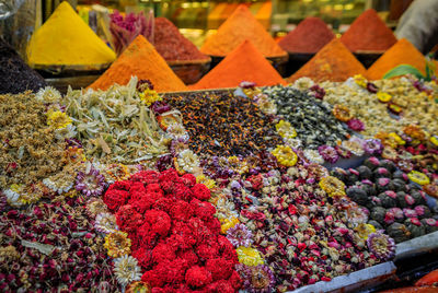 High angle view of plants