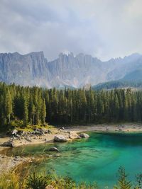 Scenic view of lake by trees against sky