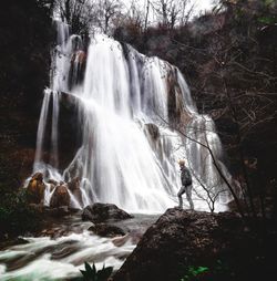 Scenic view of waterfall in forest