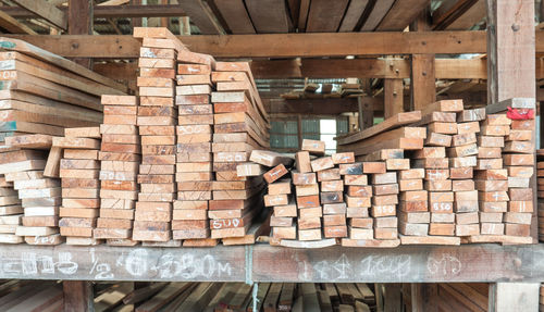 Stack of logs in forest