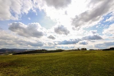 Scenic view of field against sky