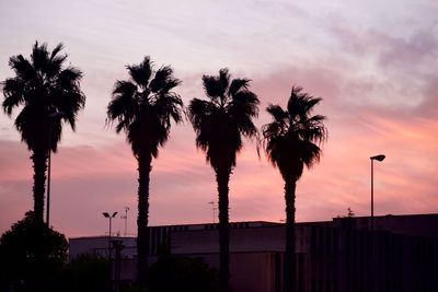 Silhouette palm trees against sky during sunset