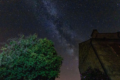 Scenic view of tree against sky at night