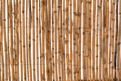 Full frame shot of bamboo wall