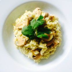 Close-up of food in plate