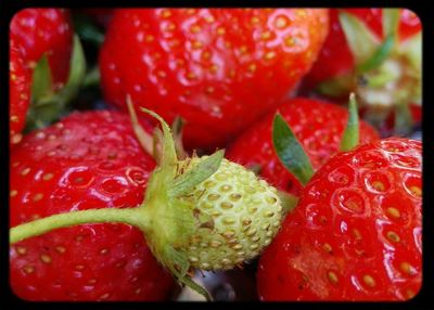 Close-up of strawberries