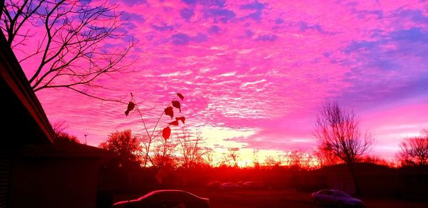 Silhouette of bare trees against sky during sunset