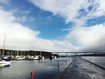 Sailboats moored at harbor against sky
