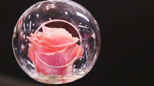 Close-up of drink in glass against black background