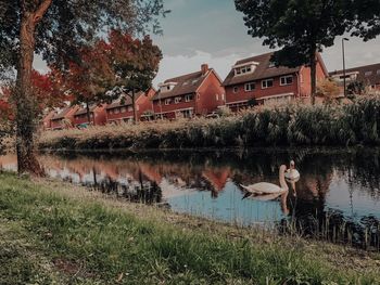 Reflection of trees and buildings on lake