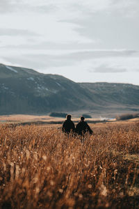 In the field