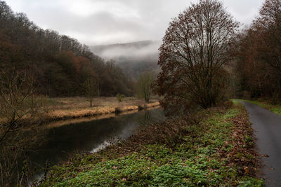 Foggy morning at river lahn