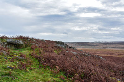 Scenic view of land against sky