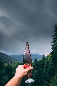 Cropped hand holding champagne flute against cloudy sky