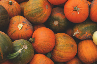 Full frame shot of pumpkins at market