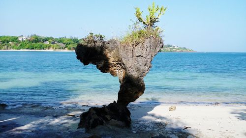 Rock formation on shore at beach against sky