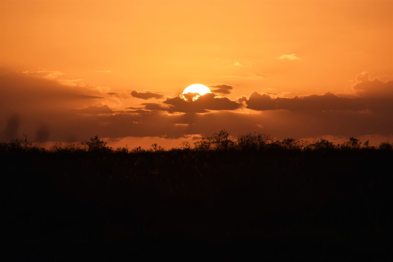 Silhouette trees on field against sky during sunset