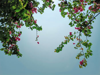 Low angle view of tree against sky