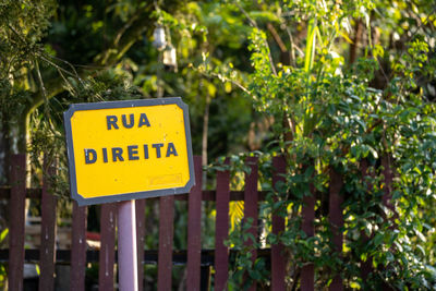 Close-up of road sign against trees