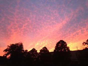 Low angle view of silhouette trees against sky at sunset