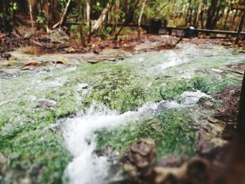 Stream amidst grass