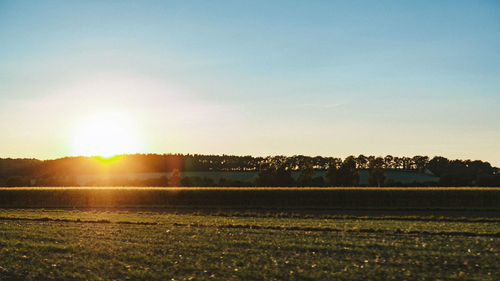 Scenic view of field against sky during sunset