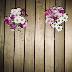 Close-up of flower pot against wooden wall