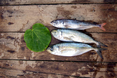 High angle view of fish on wood