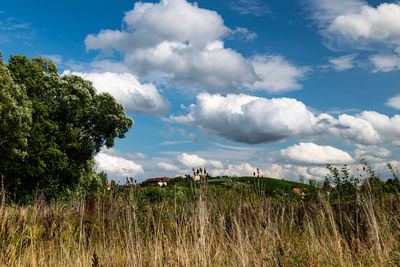 Panoramic shot of trees on field against sky