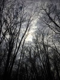 Low angle view of bare trees against sky