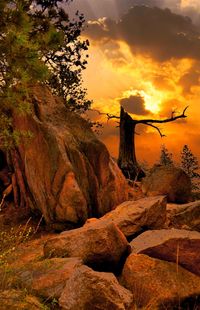 Rock formation amidst trees against sky during sunset